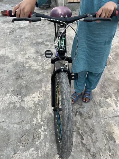 Mountain bicycle