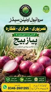 Survival Onion Seeds – High Germination Quality