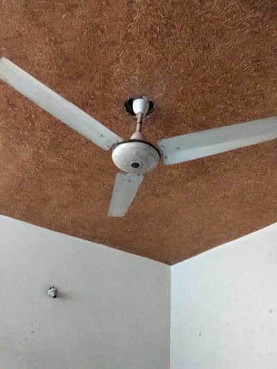 Two selling fan urgent sale