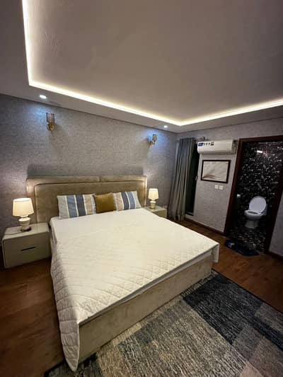 2 BHK furnished Luxurious apartment daily basis and weekly available