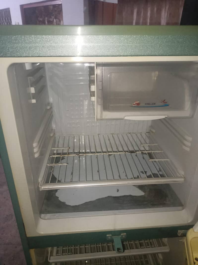 frige 1