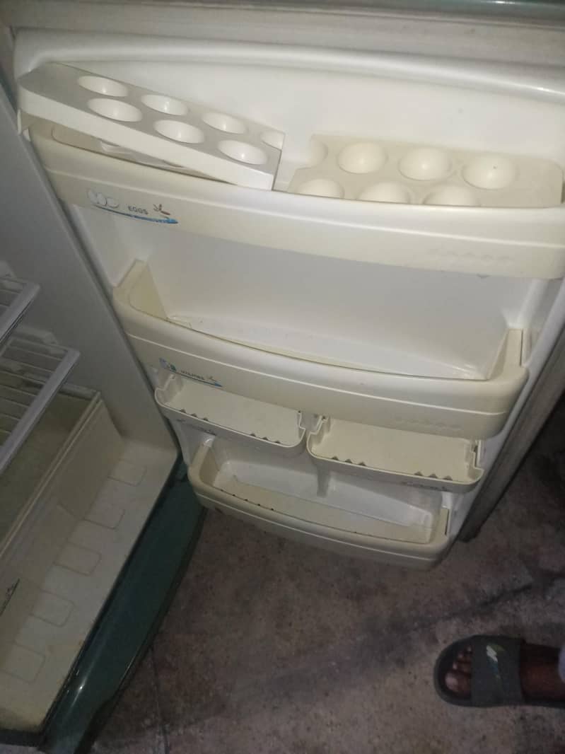 frige 2