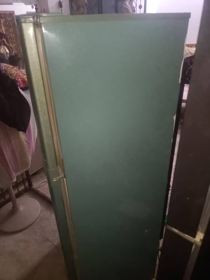 frige 4