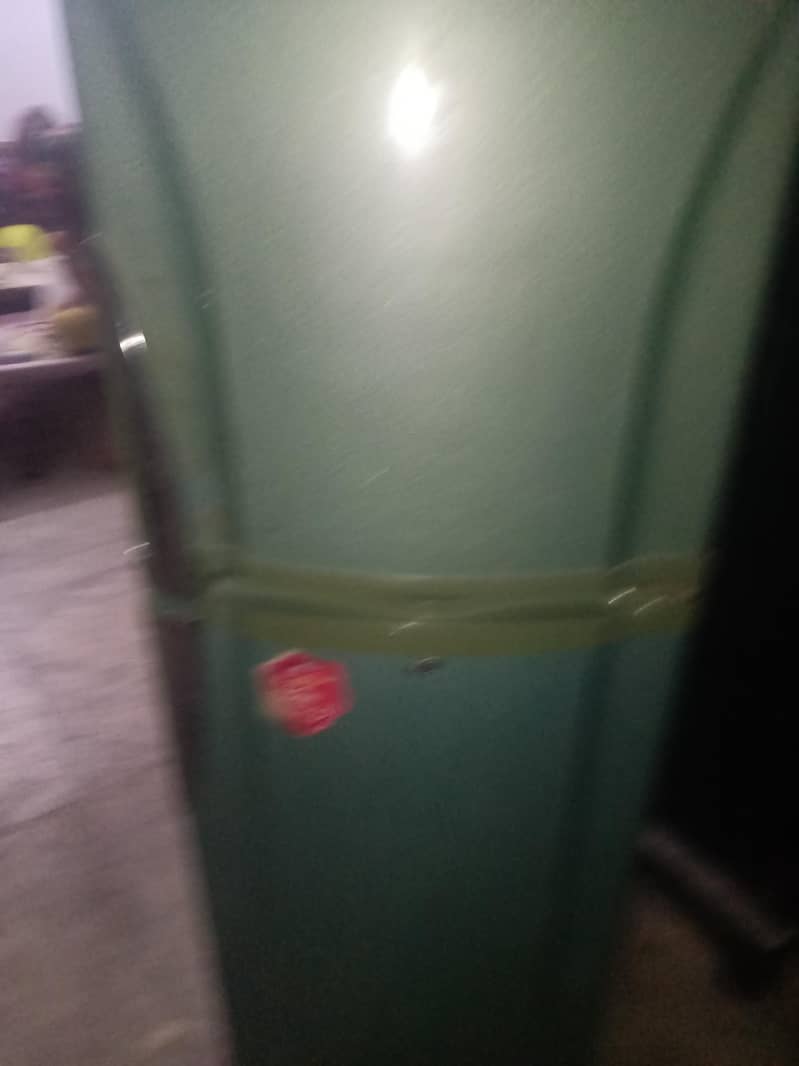 frige 6