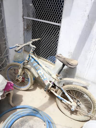 imported 20" cycle