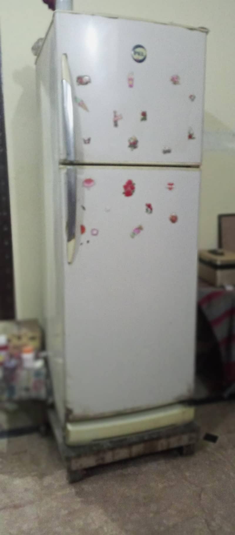 spacious Fridge 1