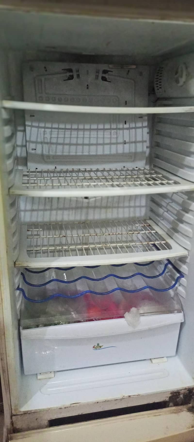 spacious Fridge 2