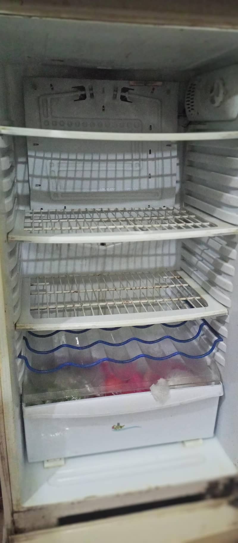 spacious Fridge 3