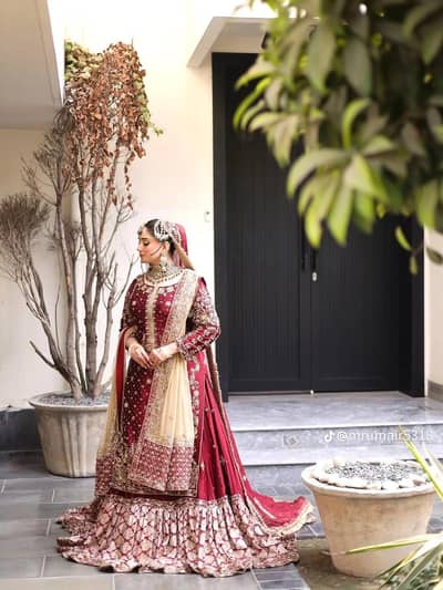 Photography Videography