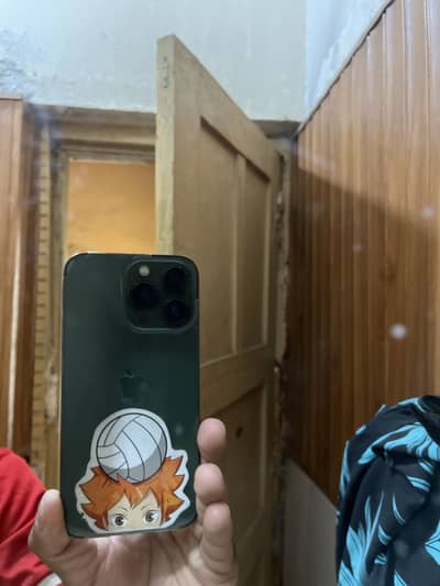 13 pro non pta