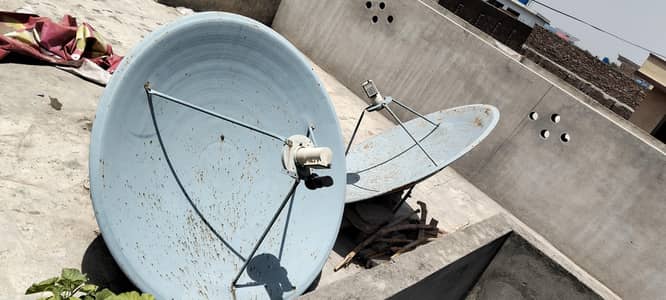 TV Dish 