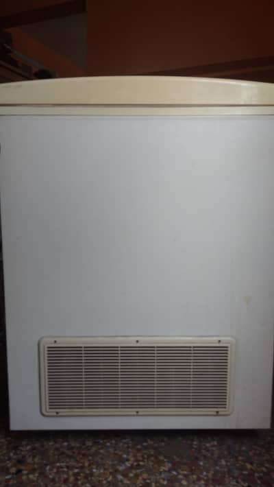 Waves Deep Freezer | Shop and Home Use