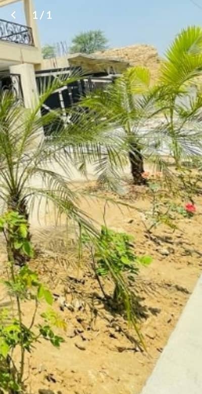 700 Yards Plot Very Reasonable Price Call For More Details