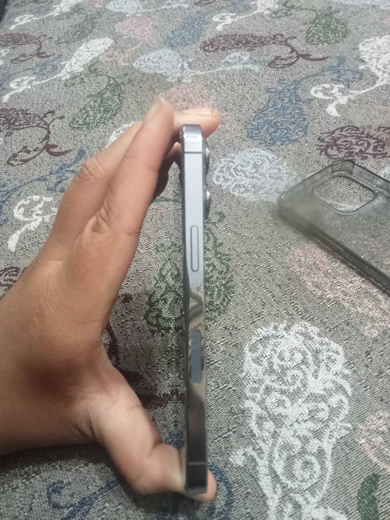 13 pro 1