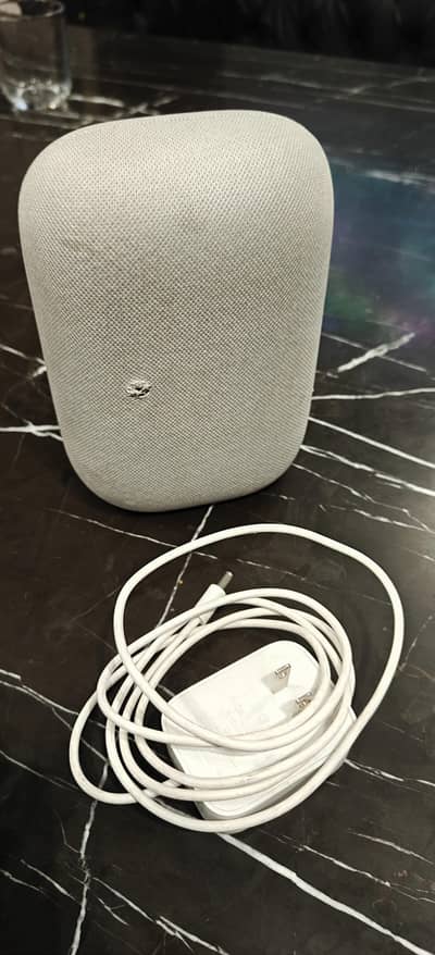 Google Nest Audio (Not Mini)