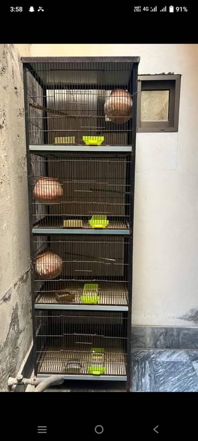 birds cages 4 portion