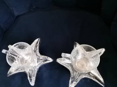 star fish decorating