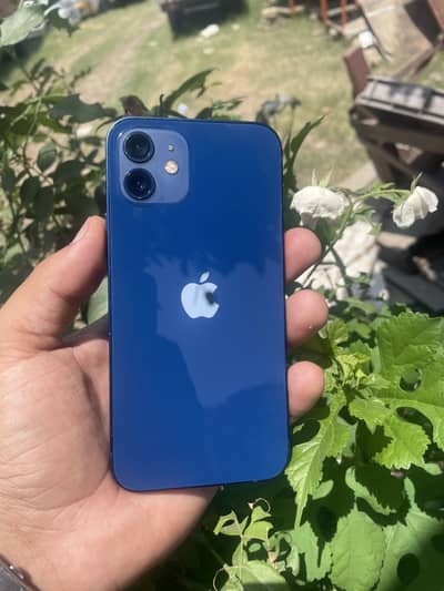 Iphone 12 factory unlocked