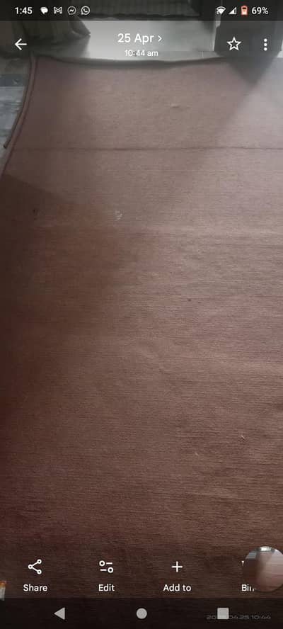 brown carpet