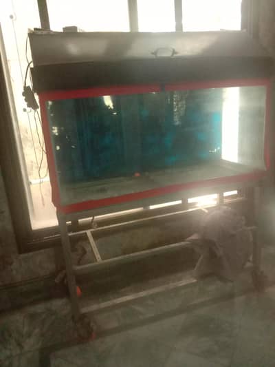 urgent sale beautiful aquarium and cleaning tool.