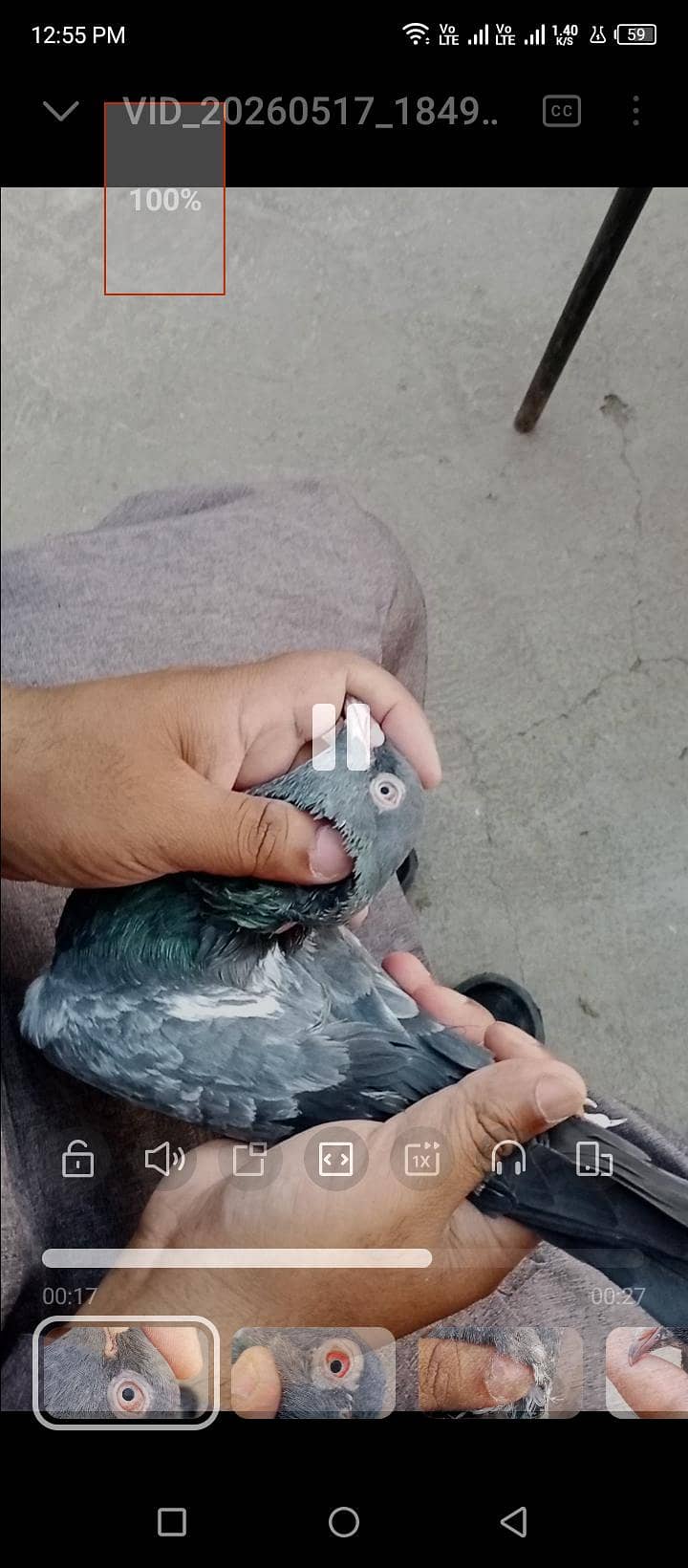 Daddwala 1