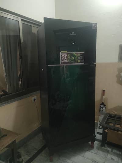 Dowlanc Refrigerator 91999 Avante Plus
