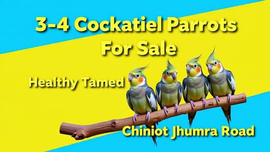 breader cocktail parrot