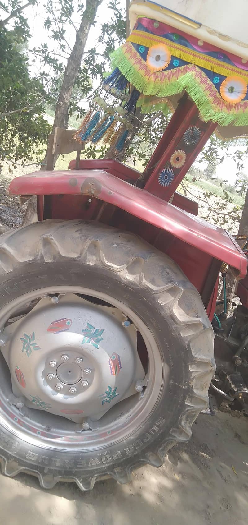 میسی فرگوسن 6