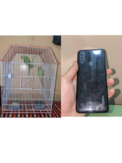 pixel 6a