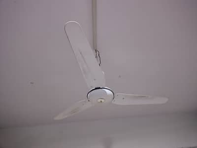 Ceiling fans (qty 11)