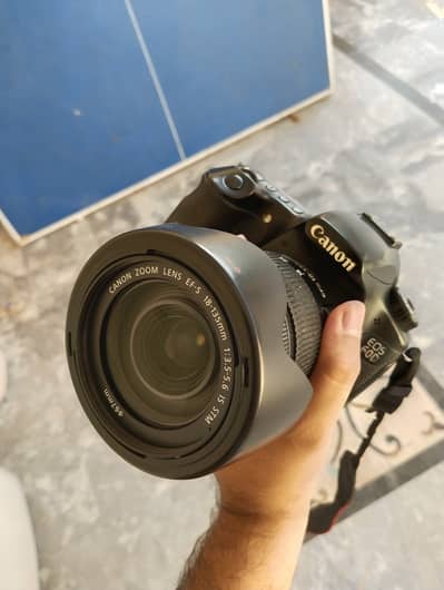 Canon 60D