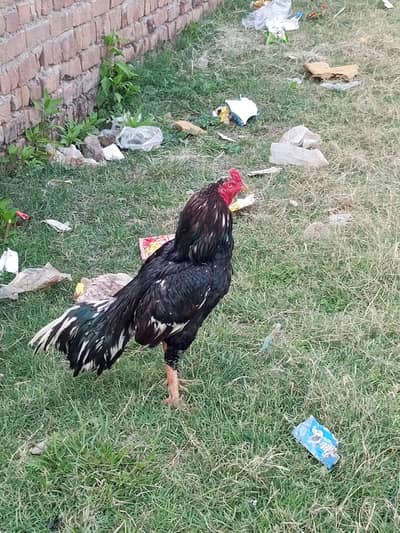 For sale