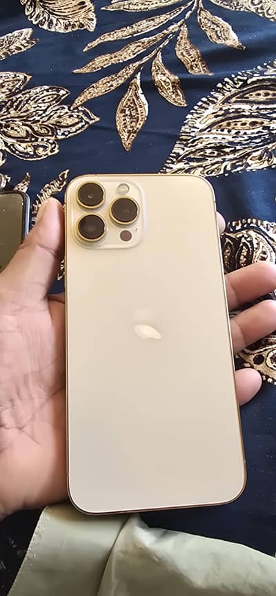13 pro