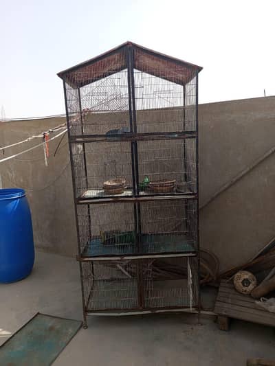 parrot cage