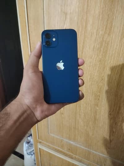 iphone 12 pta