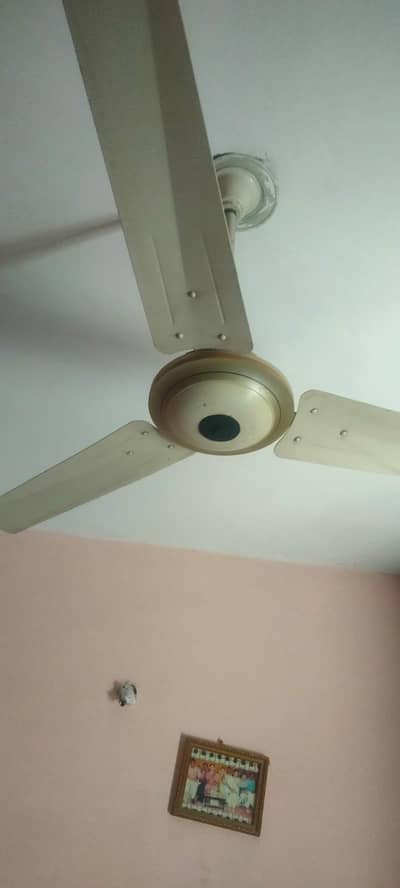 ceiling Fan For Sale