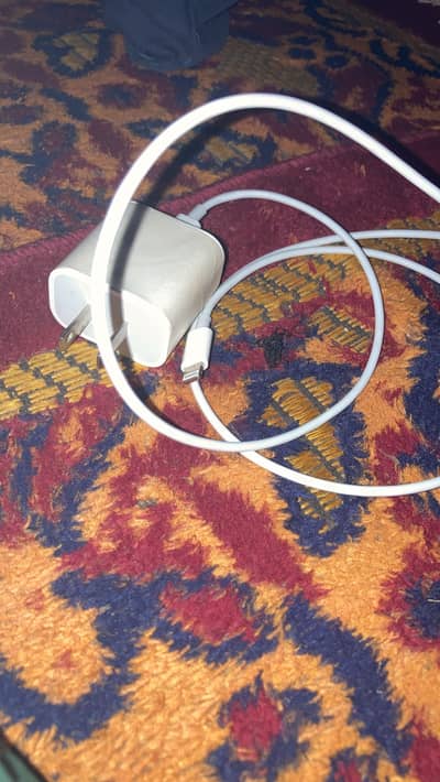 iPhone charger