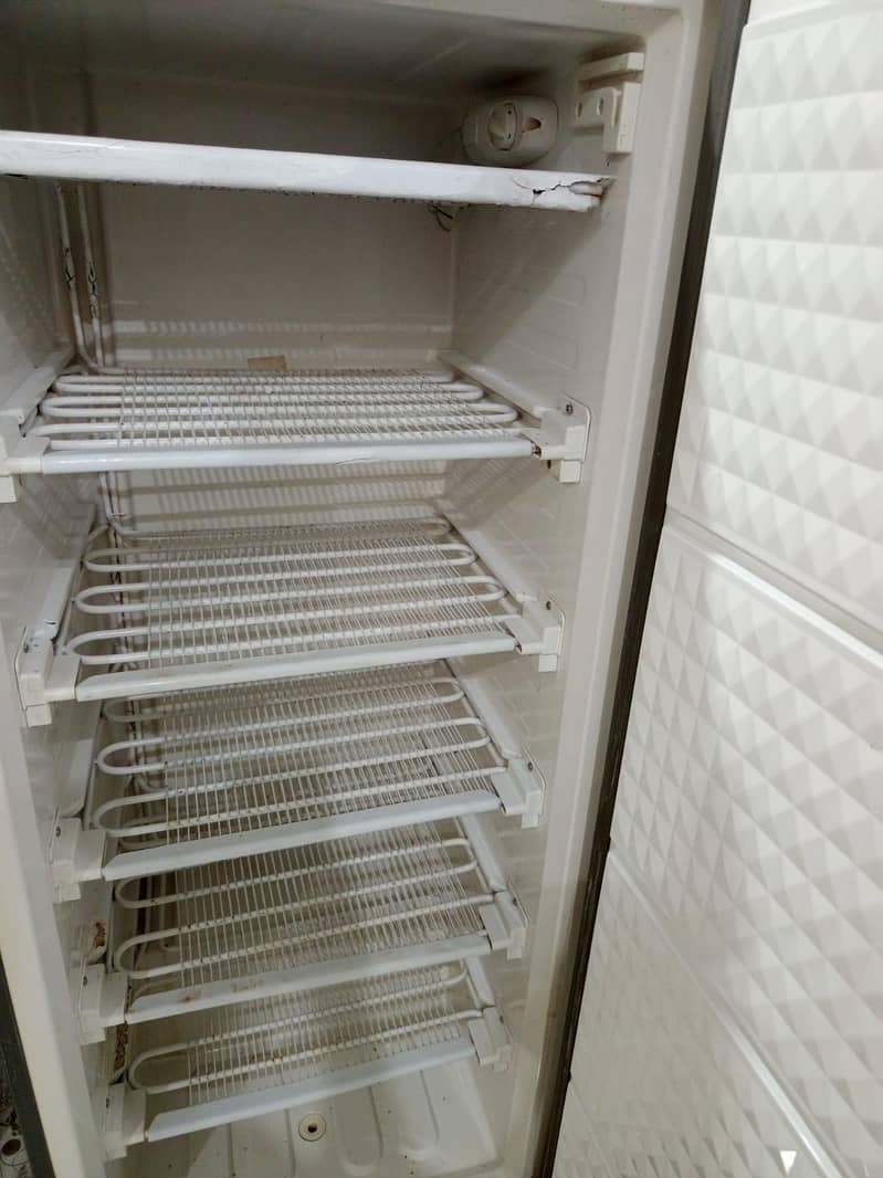 vertical freezer 1