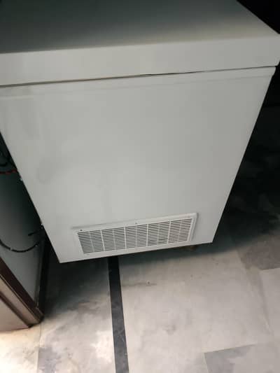 waves best condition