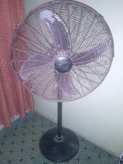 Pedestal Fan