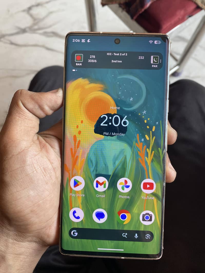 6 pro 6