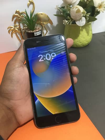 8 plus in best price