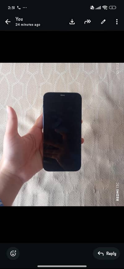 iphone 12 Pro