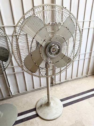 TAMOOR PEDESTAL FANS