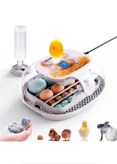High Hatching Results Imported Incubators 06 to 5056 Eggs Capacity 599