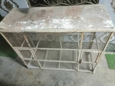 Birds cage