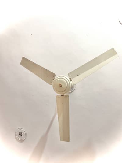 MEFCO Ceiling Fan 99.99% copper