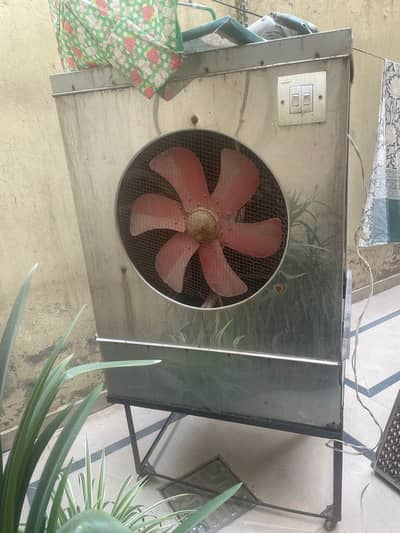Steel cooler available