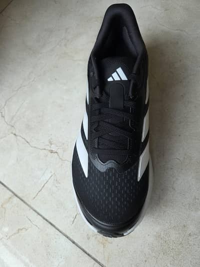 Addidas Shoe's
