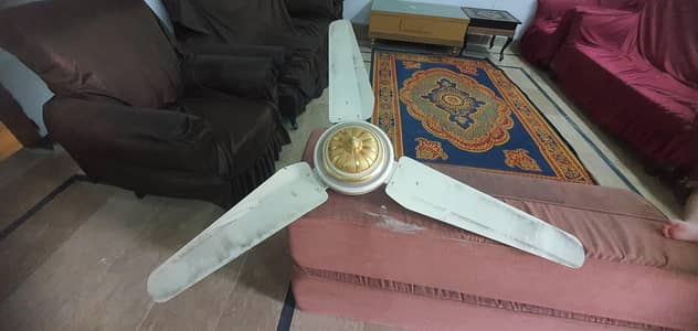 shaheen fan like 10 by 10 oky urgent need for sale
